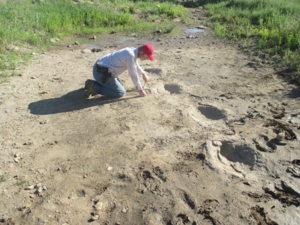 Stan Bryant helped me mold the tracks. Kenton, Oklahoma