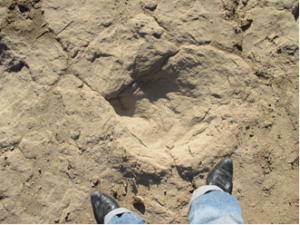 Left track, Joe Taylor feet