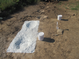 2nd layer of latex mold material