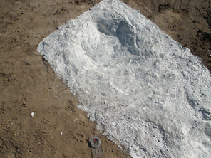 2nd layer latex mold and compass pointing north