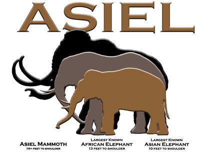 2010-9-10Asiel site of a very large mammoth at Clute, Texas found with wooden bowl 15 feet below sea levle. An A&M University-Mt. Blanco site (1)