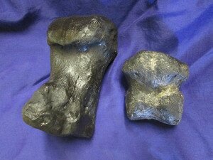 Large toe bone on the left and small toe bone on the right