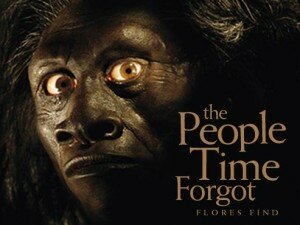 Photo credit: National Geographic April 2005 Photographs by Kenneth Garrett H. floresiensis reconstruction (above) by John Gurche http://ngm.nationalgeographic.com/ngm/0504/feature1/index.html