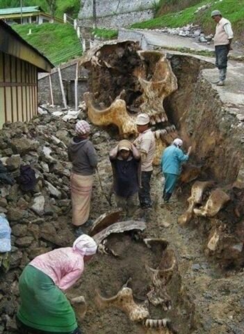 THIS PICTURE IS HOAX AND IS NOT OWNED OR ENDORSED BY MT. BLANCO! Photo source: https://www.pinterest.com/pin/567805465495494530/