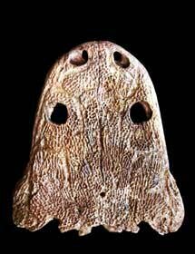 Big Red Metoposaur (Giant Salamander) skull