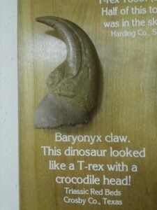 Baryonyx Claw