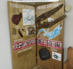 Full How-To-Mold display