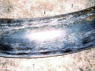Blue Mammoth Ivory
