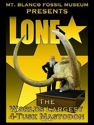 Lone Star