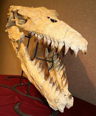 Mosasaur1