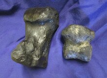 Large toe bone on the left and small toe bone on the right