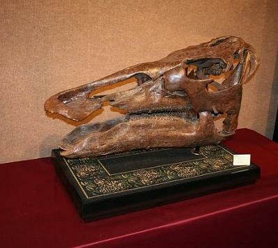 Hadrosaur