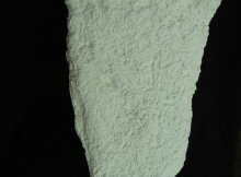 Bigfoot track moorehead