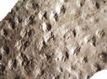 MtBlancoCtlg2CricketTracksM