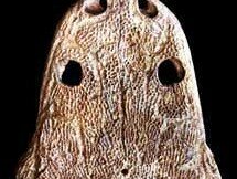 Big Red Metoposaur (Giant Salamander) skull