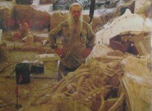 Joe Taylor working in the process of molding the Waco Sudden Death Mammoth site. The portion behind him is already molded while the bones seen in the front are about to be molded. Photo copyright Joe Taylor and Mt. Blanco Fossil Museum