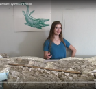 tylosaur ep 1 screenshot