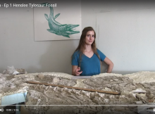 tylosaur ep 1 screenshot
